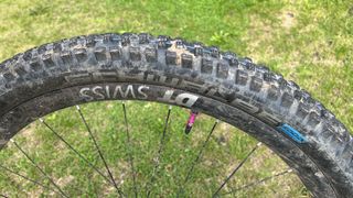 Schwalbe Wicked Will
