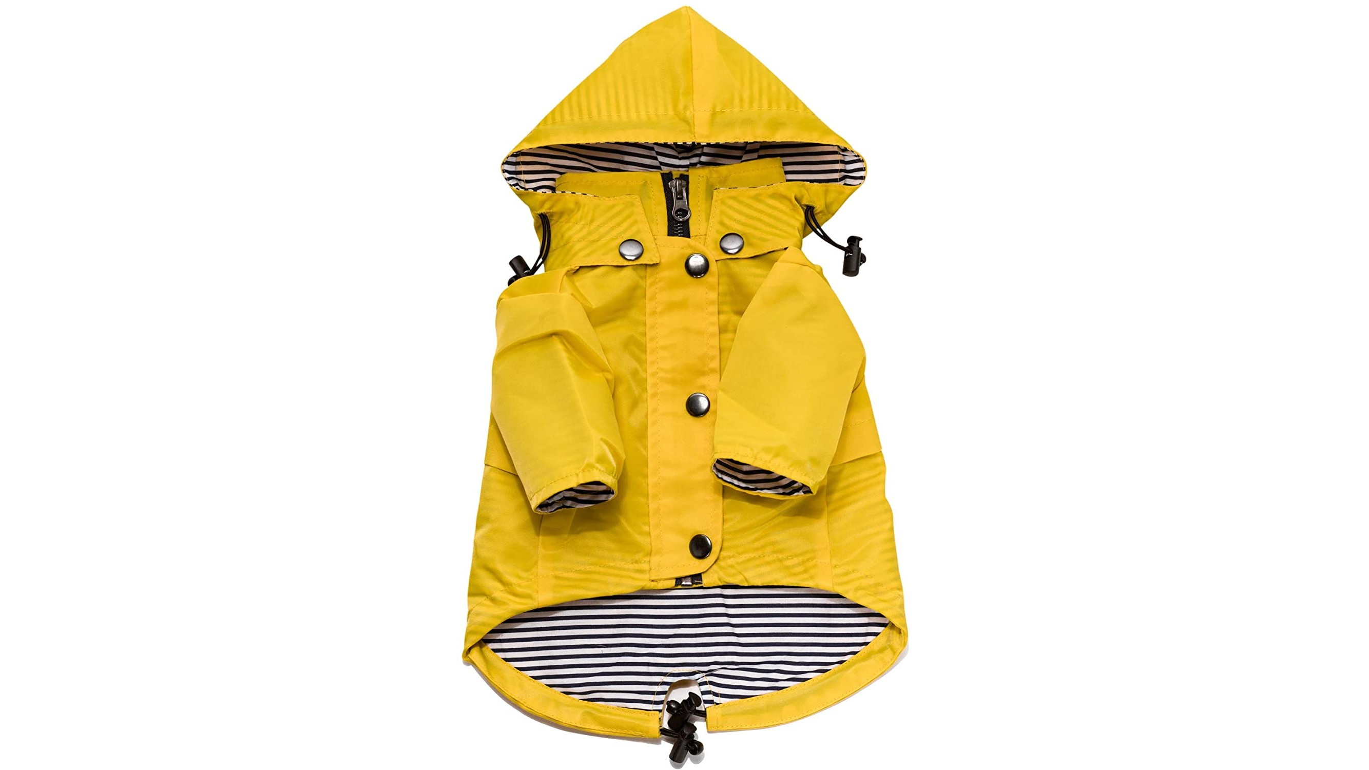 Best dog coats Trendy picks to keep your dog warm and dry PetsRadar