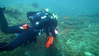 Divers have known about the so-called "Bear" shipwreck for years, but it was Michael Barnette who started doing the research that determined that the remains came from the SS Cotopaxi, a vessel associated with the mystery of the Bermuda Triangle.