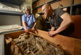 Janet Monge, curator-in-charge, physical anthropology section of the Penn Museum, and William Hafford, Ur Digitization Project Manager at Penn Museum, investigate the 6,500-year-old skeleton.