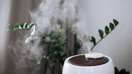 A humidifier sitting among indoor plants