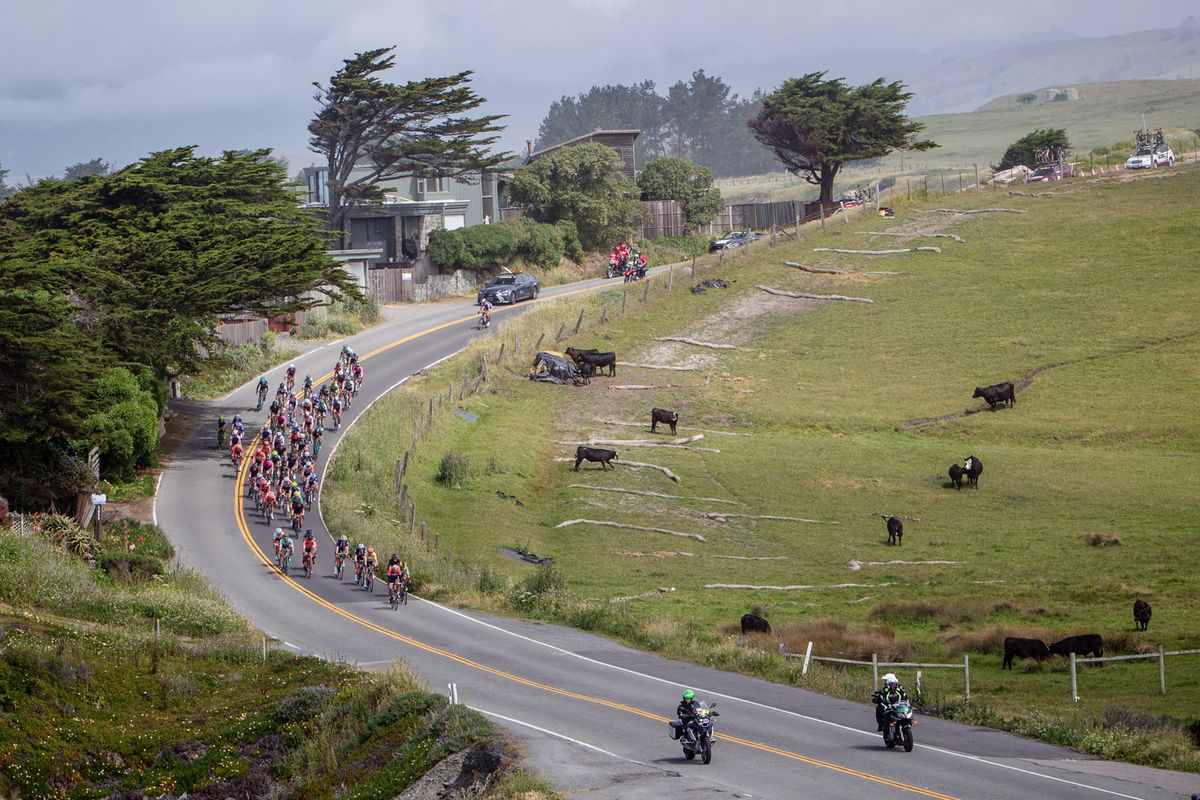 The peloton begins to split along the windswept coastline