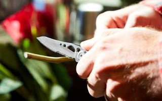 All-Purpose: Leatherman Skeletool Pocket Knife