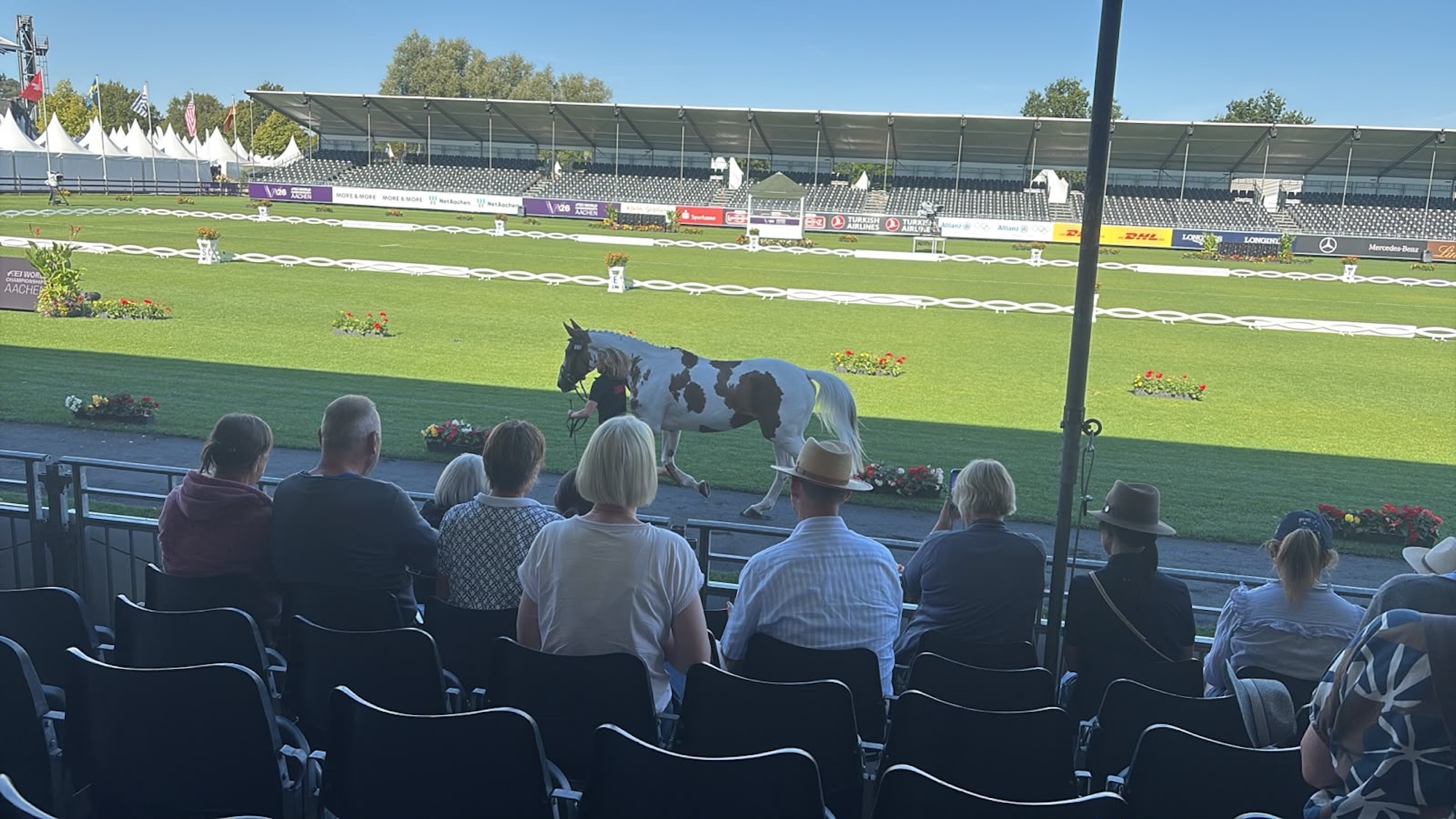 coloured horse trotting up at aachen world championships