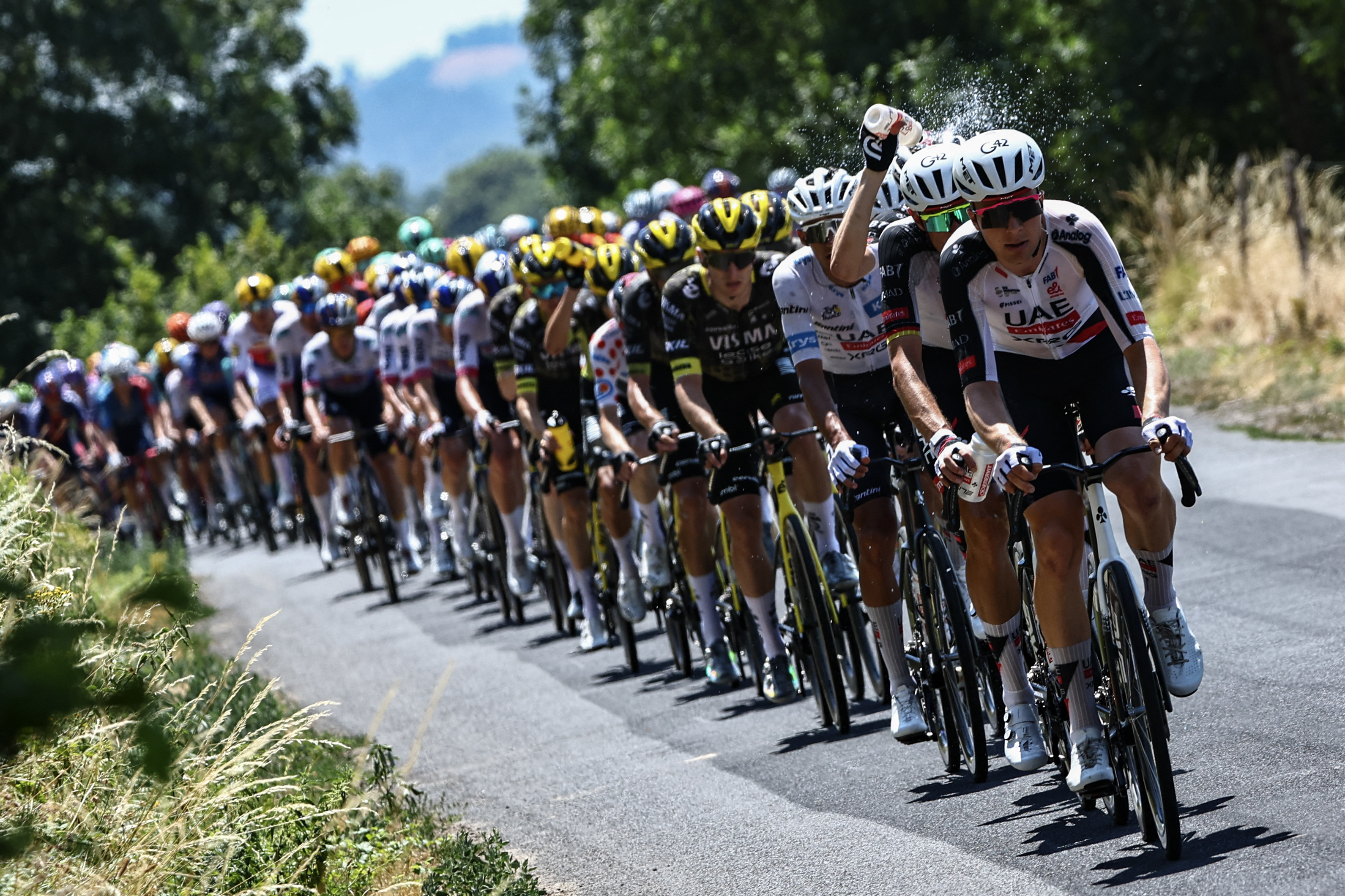 The Tour de France peloton