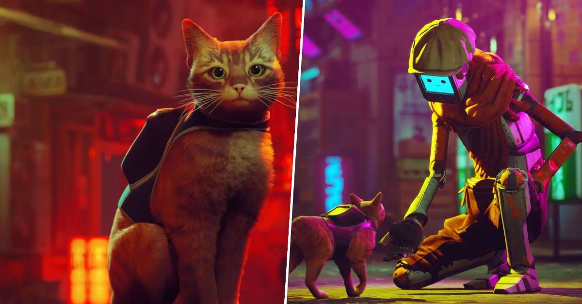 Don't Forget About 'Stray,' The Cat Adventure Coming To PS5