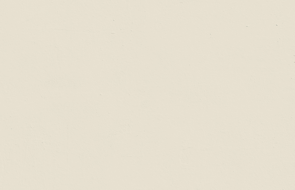 White 05: Light Oaty White Paint - Paint Sample