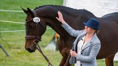 Maryland 5 Star final trot-up: Hannah Sue Hollberg and Harbour Pilot