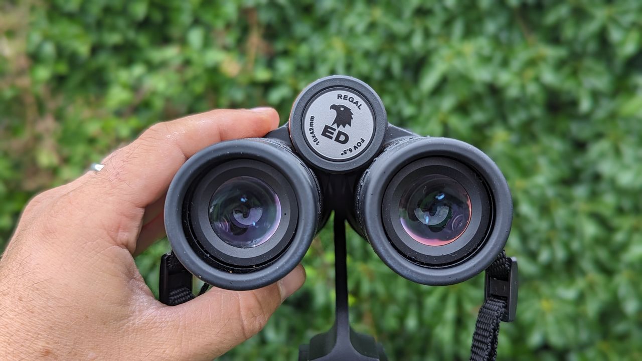 Binoculars with green foliage backdrop