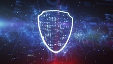 Virtual security/privacy shield