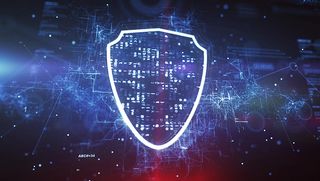 Virtual security/privacy shield