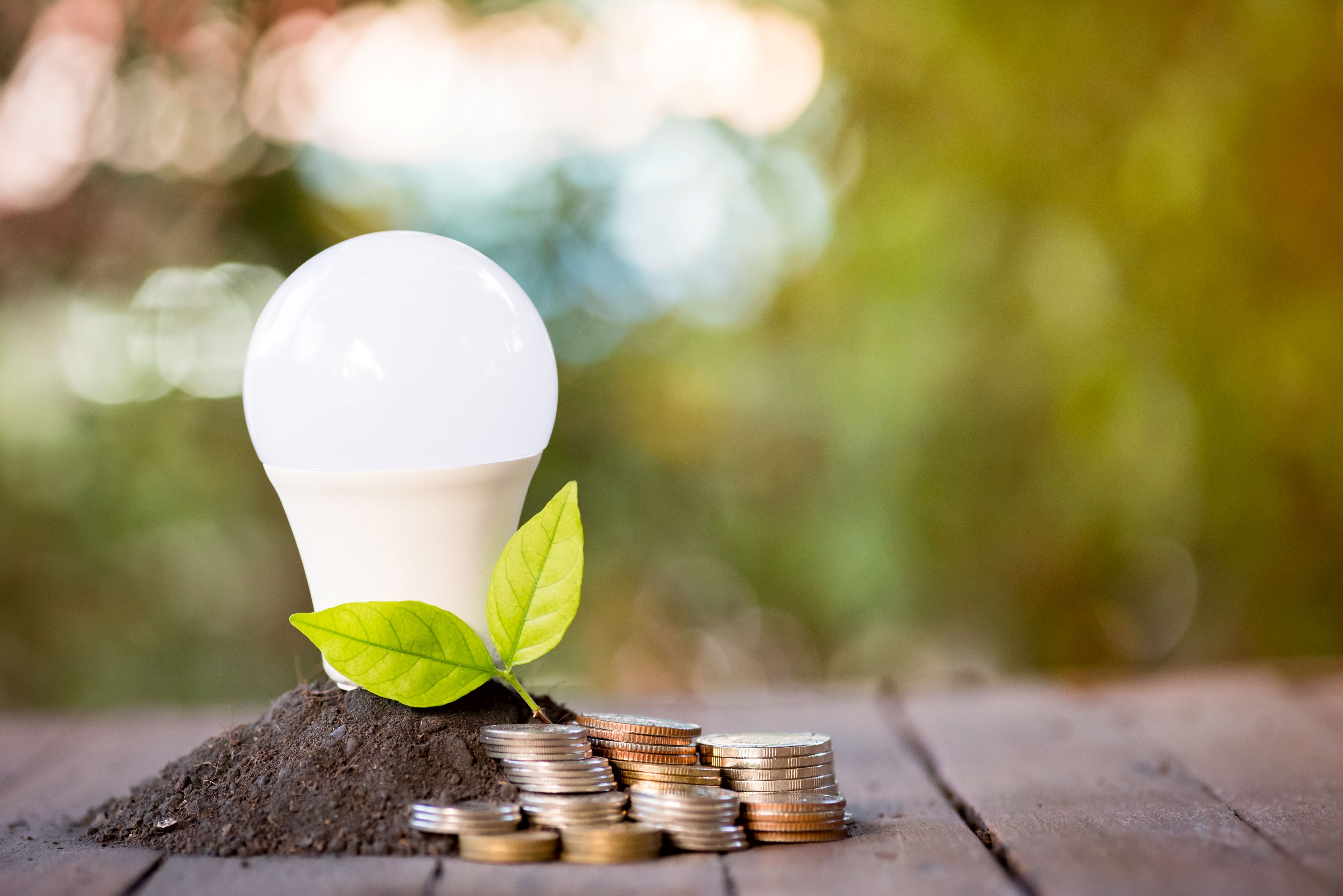 E.ON Next solar energy