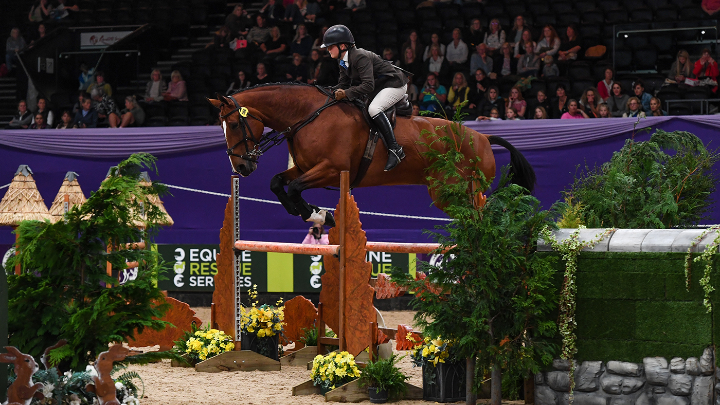 HOYS working hunter