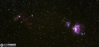 Great Orion Nebula and Horsehead Nebula
