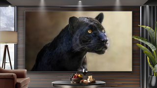 Promotional image of the LG 97 inch OLED showing a panther against a light brown background. The TV is wall mounted in a room with contemporary decor and wood panelling on the wall