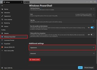 Terminal PowerShell appearance settings