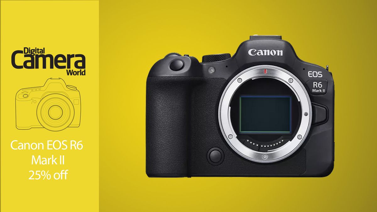 Snaphappy deal Canon EOS R6 Mark II at its lowest price yet Digital