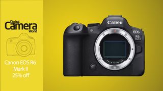Canon EOS R6 Mark II body on a yellow background