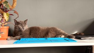 An Autonomous SmartDesk 5 being put together and installed in an office.