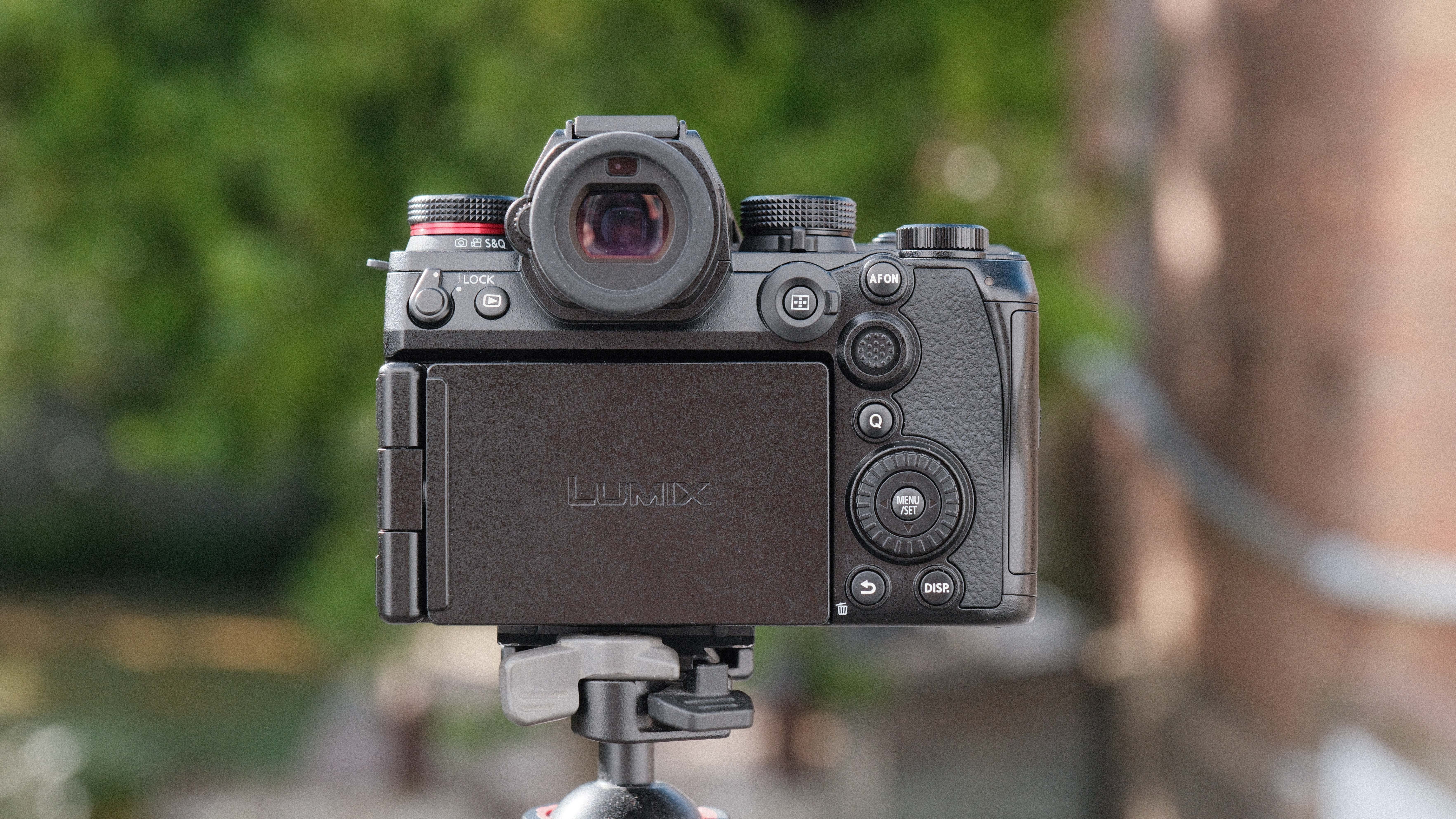 Panasonic Lumix S1 II camera on a tripod with green trees in the background
