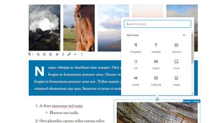 WordPress tutorials: The Gutenberg WordPress Editor