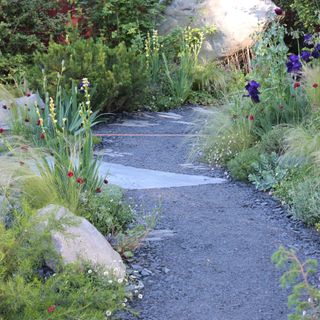 Gravel garden path edged with ground cover plants and boulders at RHS Chelsea Flower Show