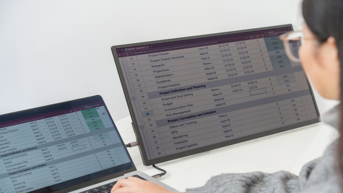 This 24-inch reflective LCD screen is an interesting alternative to expensive e-ink monitors, but I struggle to see who will use it