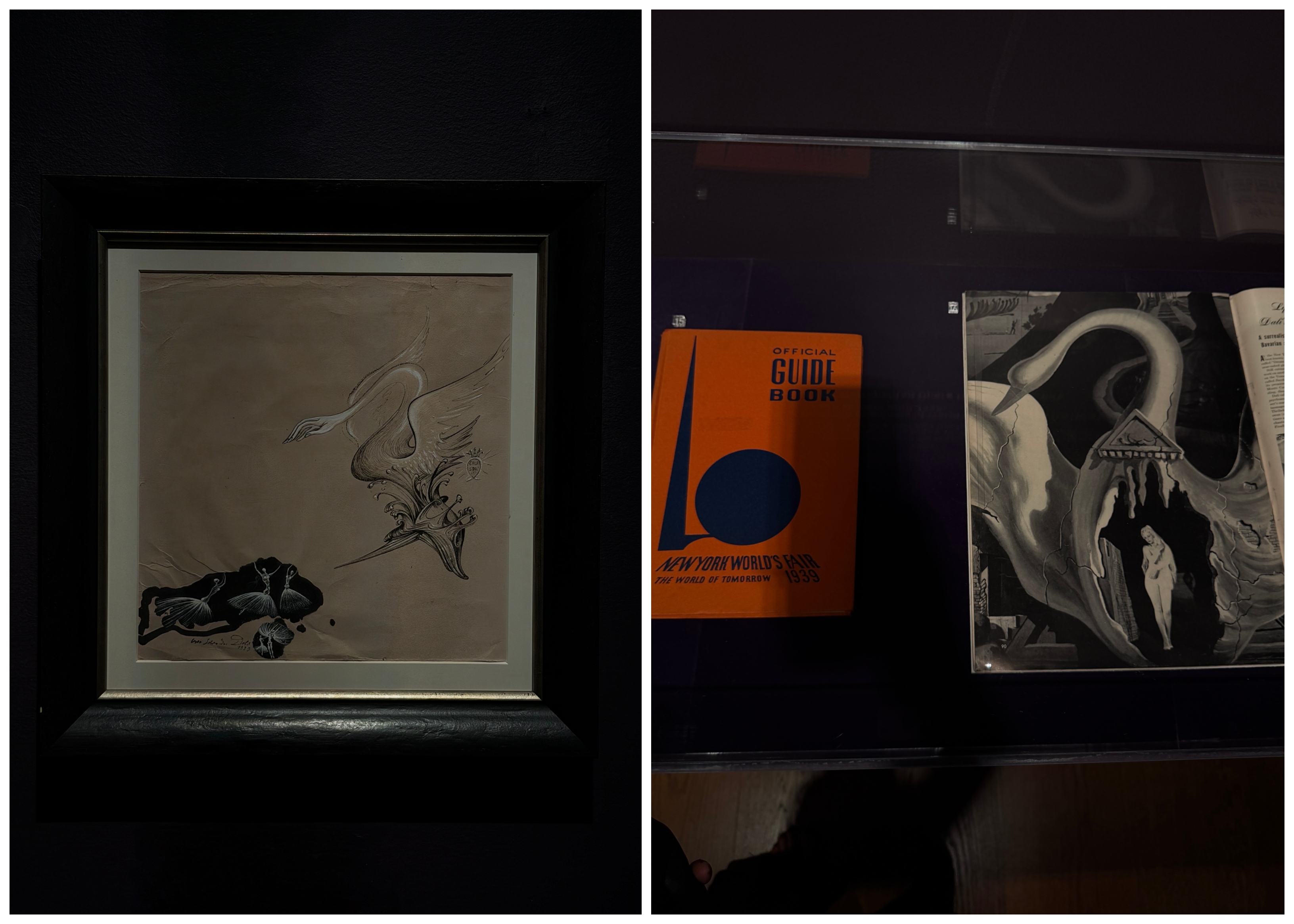 Dal&amp;iacute; exhibition and Di Donna in Manhattan taken by Alexis Badiyi