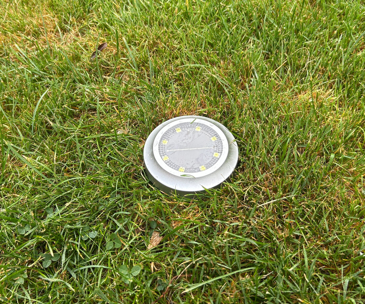 solar light in grass