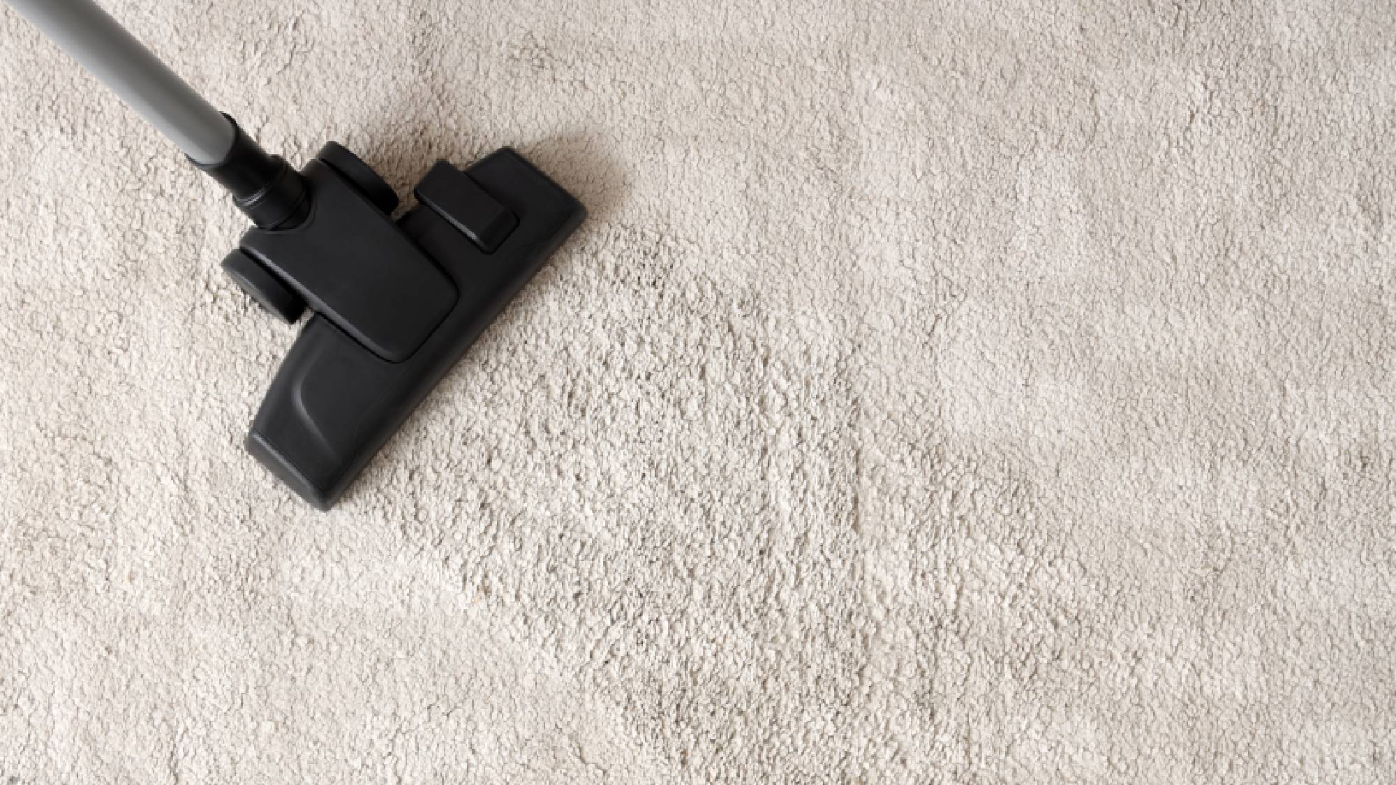 Top-down view of a vacuum lifting embedded dust on a beige plush rug using the overlap technique. 