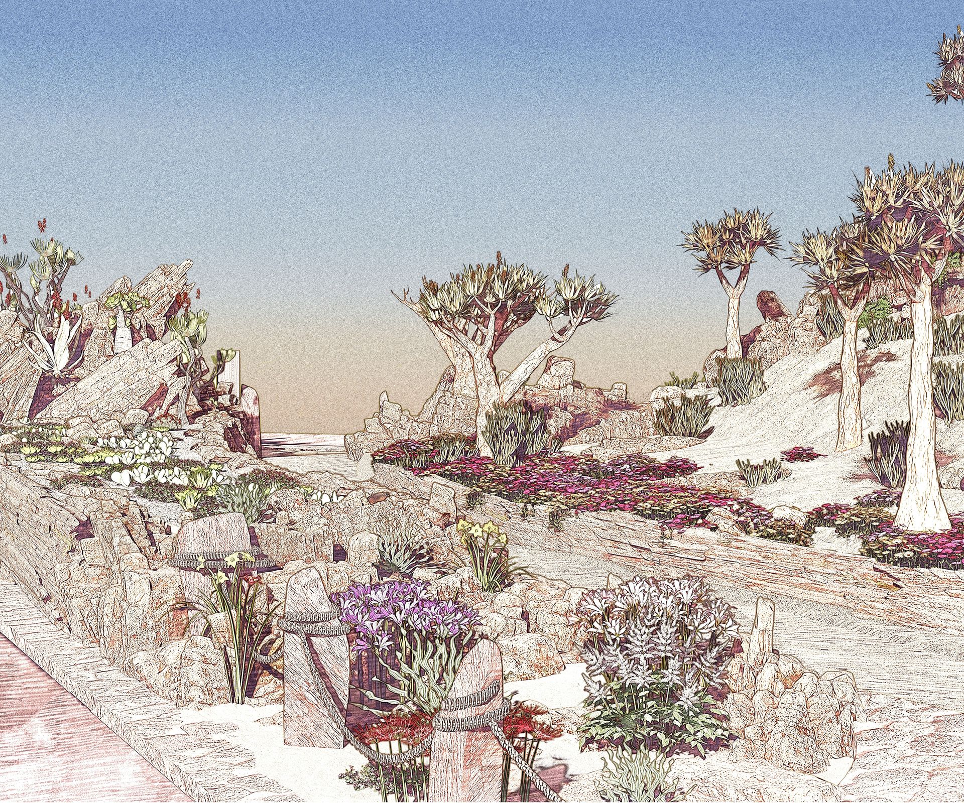 The New Karoo Succulent Garden