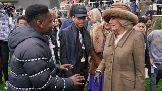 Camilla, Duchess of Cornwall steps out in a recycled outfit at November Ascot