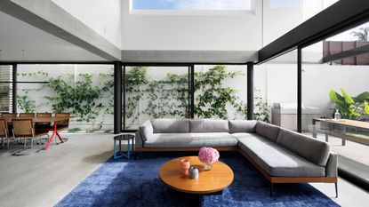 modern living room in brutalist concrete house with bright blue rug, L-shaped grey sofa, timber round coffee table, polished concrete floors, floor to ceiling doors