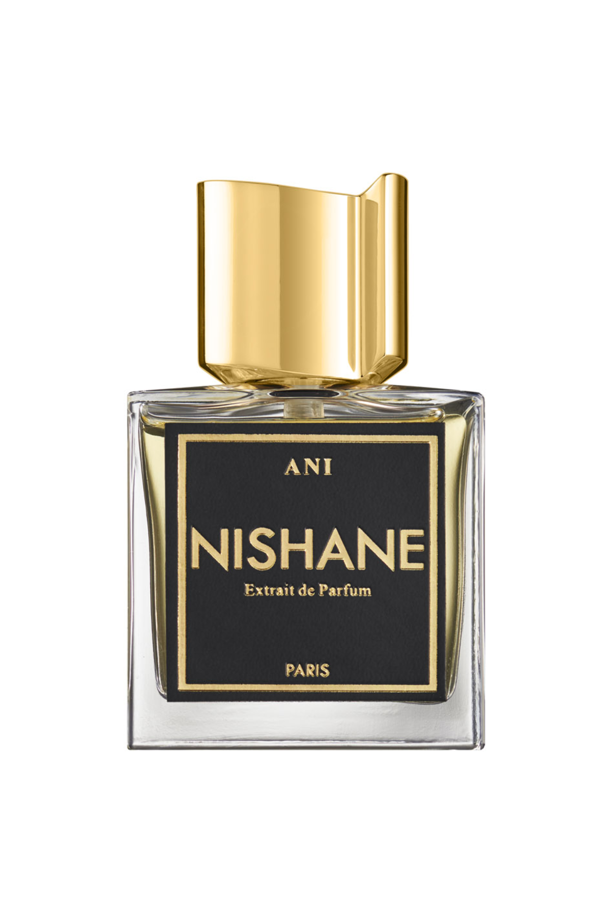 A bottle of Nishane Ani perfume against a white background.