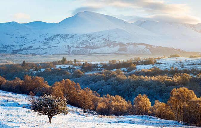 scottish land reform