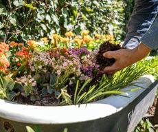 Man places handful of soil into garden bed made from bathtub