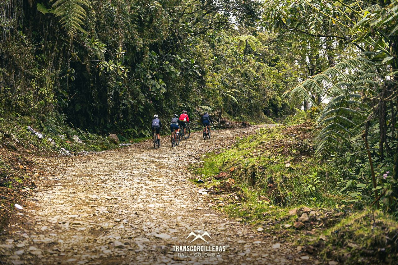 Images from the Transcordilleras Rally 2022