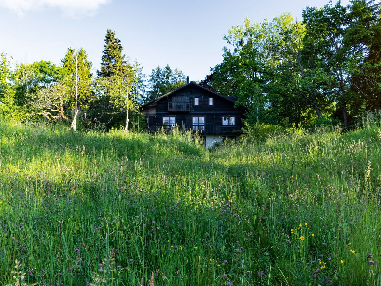 black chalet against green garden by Erik Dhont