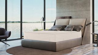 Best organic mattress: The PlushBeds Botanical Bliss Mattress on a faux leather bed placed against a window overlooking a lake