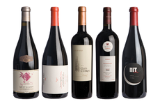 Priorat wine