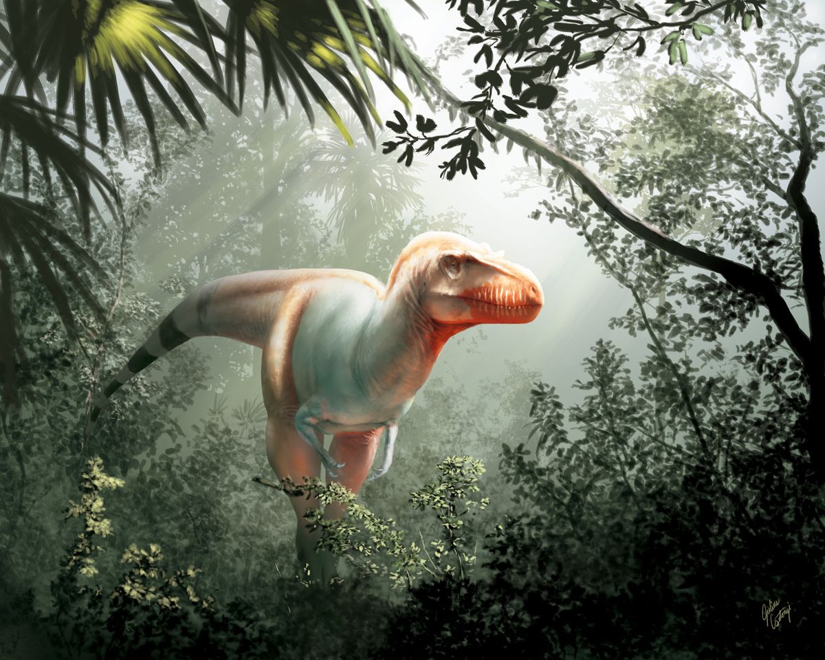  SMARTCLUB News Frightful Never before seen Tyrannosaur Might Be 