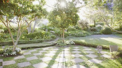 A checkerboard stone and grass path in afternoon sun