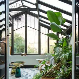 Interior of conservatory with black structure and plants