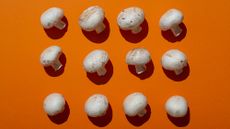 A selection of mushrooms shot from above against an orange background