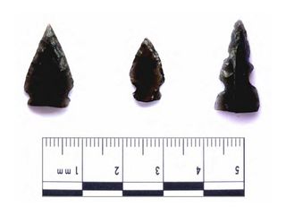 Three obsidian arrowheads from the Peten lakes region of Guatemala look similar to the two arrowheads that tested positive for human blood.