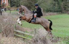 EssexSuffolk_Hunt15pn_857.jpg