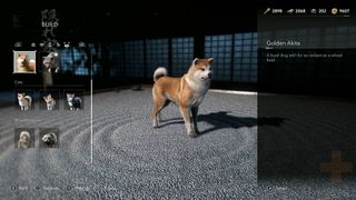 Assassin's Creed Shadows Hideout golden akita dog pet