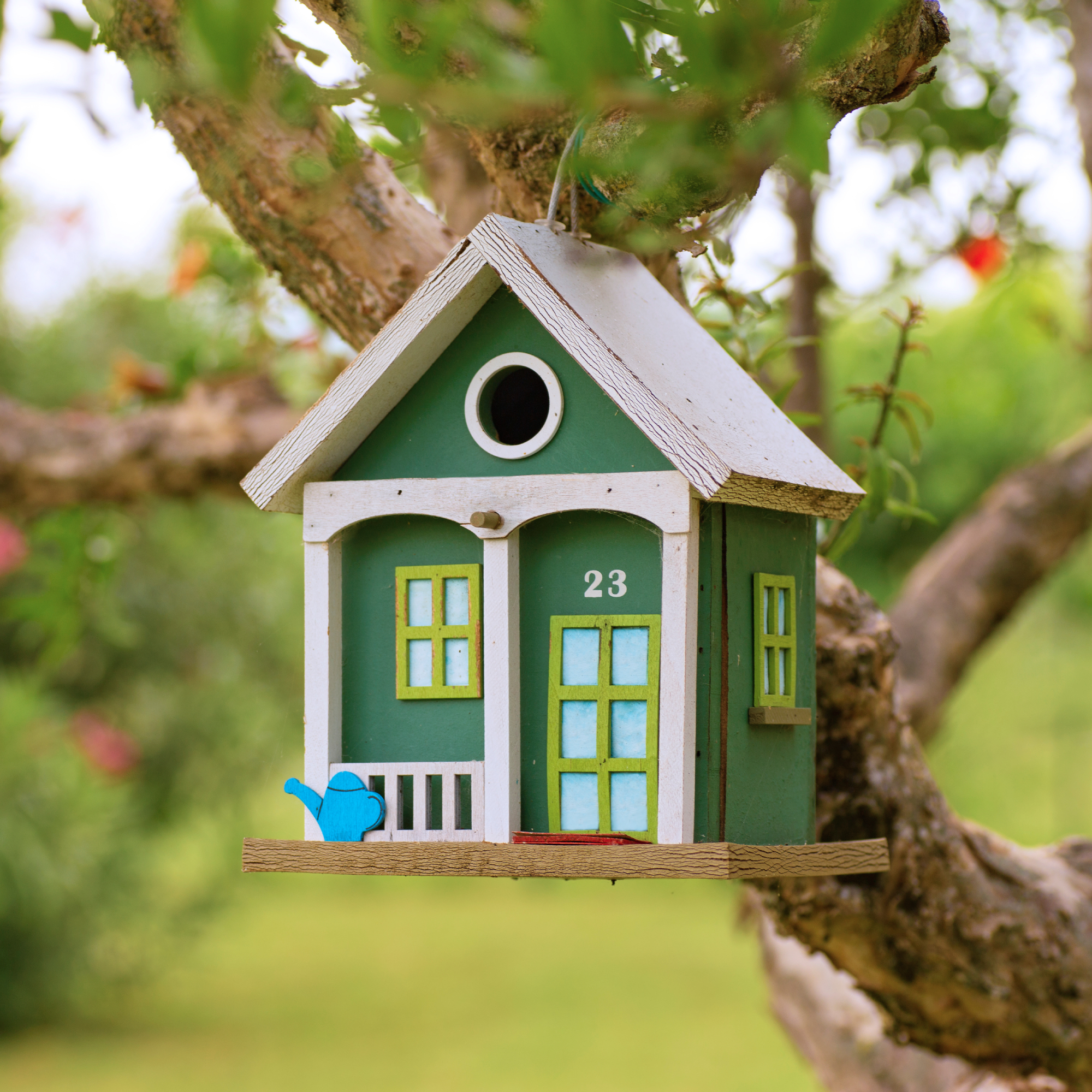 cute birdhouse hanging in a tree