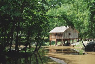 hut in marsh in Monroeville, Alabama