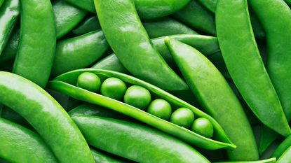 very close up of ripe green peas and pods 